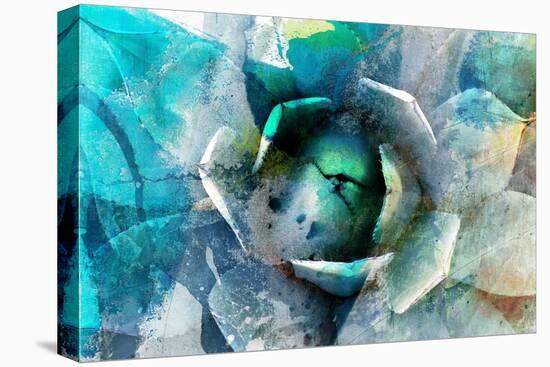 Agave Abstract I-Sisa Jasper-Stretched Canvas