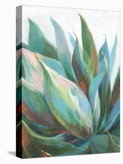 Agave Crop-Danhui Nai-Stretched Canvas