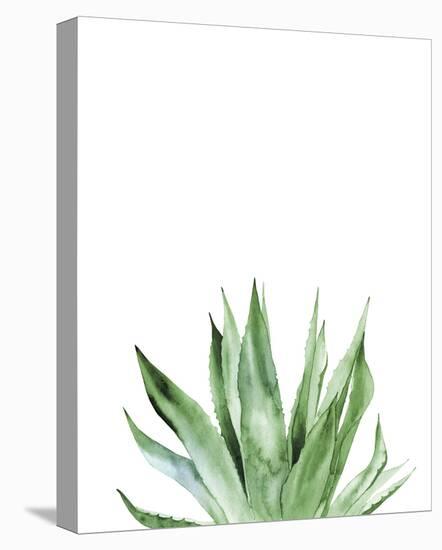 Agave I-Ann Solo-Stretched Canvas
