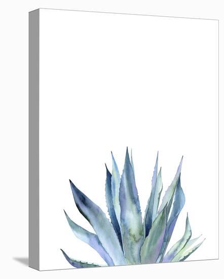 Agave II-Ann Solo-Stretched Canvas