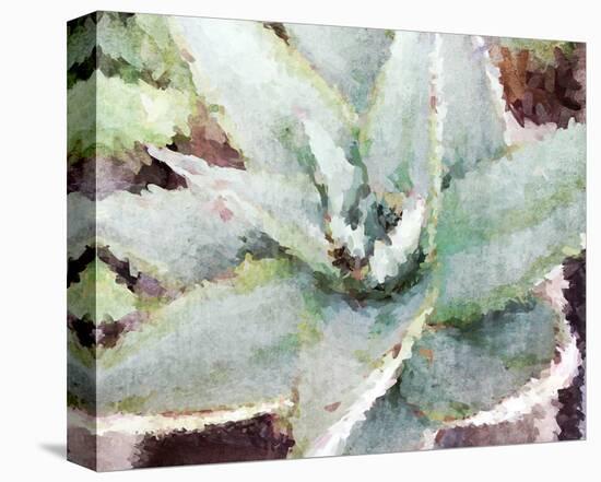 Agave Sebastiana-null-Stretched Canvas