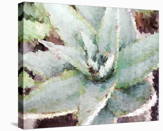 Agave Sebastiana-null-Stretched Canvas