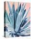 Agave with Coral-Alana Clumeck-Stretched Canvas