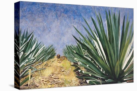 Agaves with Blue Sky, 2004-Pedro Diego Alvarado-Premier Image Canvas