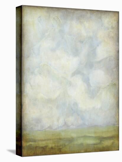 Aged Abstract Landscape I-Naomi McCavitt-Stretched Canvas