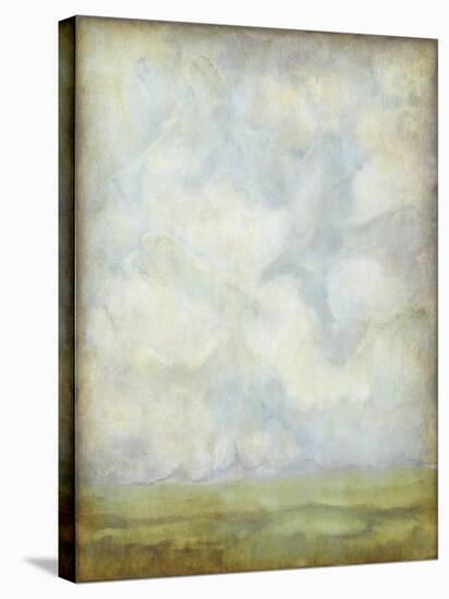 Aged Abstract Landscape I-Naomi McCavitt-Stretched Canvas