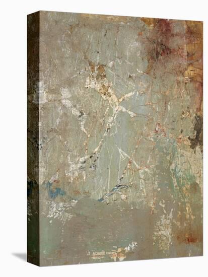 Aged Wall IV-Alexys Henry-Premier Image Canvas