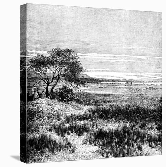 Agha Valley, Central Pampa, Argentina, 1895-null-Premier Image Canvas