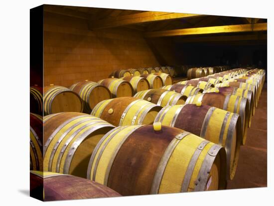 Aging Cellars with Rows of Oak Barrels, Domaine Pierre Gaillard, Malleval, Ardeche, France-Per Karlsson-Premier Image Canvas