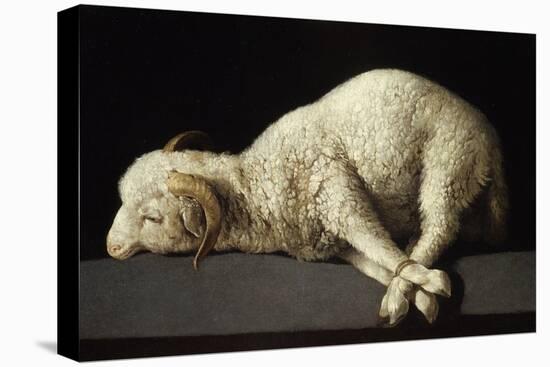 Agnus Dei, 1635-1640-Francisco de Zurbarán-Premier Image Canvas