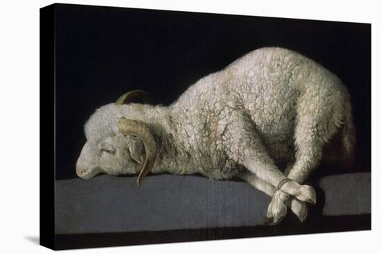 Agnus Dei, Ca.1635-40-Francisco de Zurbarán-Premier Image Canvas