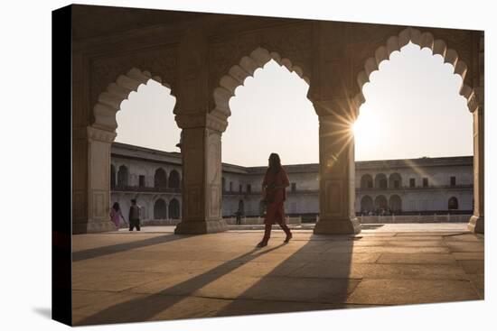 Agra Fort at Sunset, UNESCO World Heritage Site, Agra, Uttar Pradesh, India, Asia-Ben Pipe-Premier Image Canvas