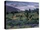 Agriculture Fields, Indus Valley, Pakistan-Gavriel Jecan-Premier Image Canvas