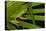 Agua Rica Leaf Frog, Ecuador-Pete Oxford-Premier Image Canvas