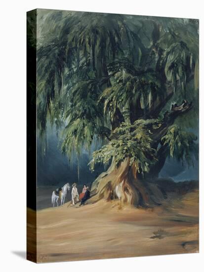 Ahuehuete Tree-Johann Moritz Rugendas-Premier Image Canvas