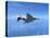 Air and Space: McDonnell Douglas F-4 Phantom II-null-Premier Image Canvas