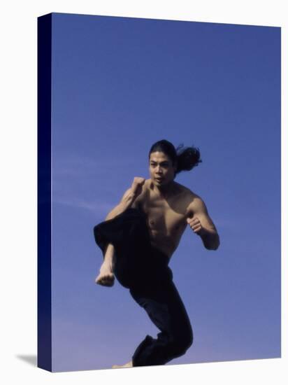 Airborne Martial Artist-null-Premier Image Canvas