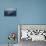 Aircraft Carrier USS Ronald Reagan Leads Allied Ships on Pacific Ocean, July 2010-null-Stretched Canvas displayed on a wall