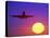 Airplane at Sunset-Mitch Diamond-Premier Image Canvas