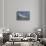 Airplane B2 Bomber Spirit-null-Stretched Canvas displayed on a wall