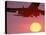 Airplane in Flight During Sunrise, Sunset-Mitch Diamond-Premier Image Canvas