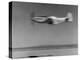 Airplane in Flight, Speed-Blurred-J^ R^ Eyerman-Premier Image Canvas