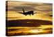 Airplane sunset-Charles Bowman-Premier Image Canvas