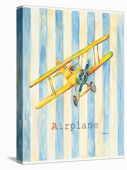 Airplane-Catherine Richards-Stretched Canvas