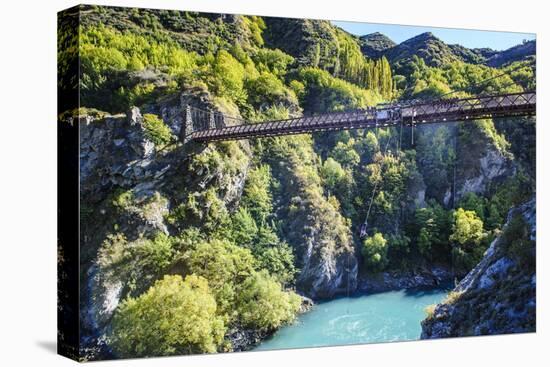 Aj Hackett Bungy Jumping on the Kawarau Bridge over the Kawarau River Near Queenstown-Michael-Premier Image Canvas