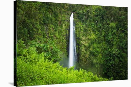 Akaka Falls, Akaka Falls State Park, The Big Island, Hawaii, USA-Russ Bishop-Premier Image Canvas
