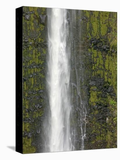 Akaka Falls, Hamakua Coast, Hawaii, USA-Savanah Stewart-Premier Image Canvas