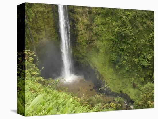 Akaka Falls, Hamakua Coast, Hawaii, USA-Savanah Stewart-Premier Image Canvas