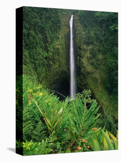 Akaka Falls-Joseph Sohm-Premier Image Canvas