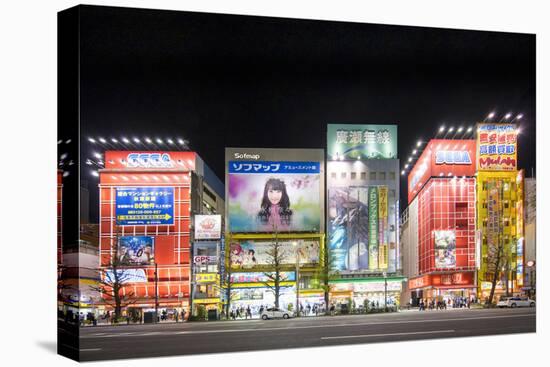 Akihabara electronic town, Tokyo, Japan-Jan Christopher Becke-Premier Image Canvas