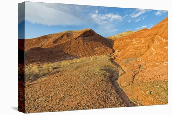 Aktau Mountains, Altyn-Emel National Park, Almaty region, Kazakhstan, Central Asia, Asia-G&M Therin-Weise-Premier Image Canvas