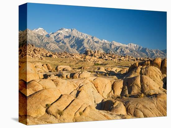 Alabama Hills with the Eastern Sierra Nevada Range, Lone Pine, California, USA-Jamie & Judy Wild-Premier Image Canvas