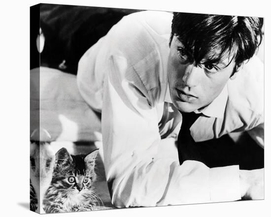 Alain Delon-null-Stretched Canvas