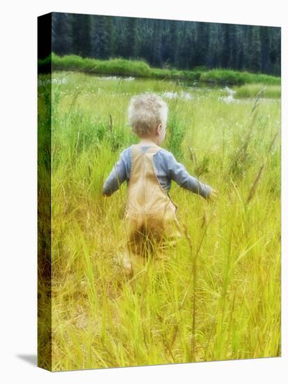 Alaska, 2 Year Old Child Playing in Tall Grass, Summertime-Savanah Stewart-Premier Image Canvas