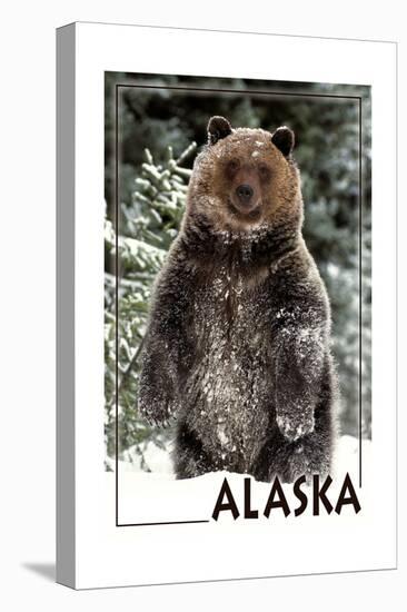 Alaska - Bear Standing in Snow-Lantern Press-Stretched Canvas