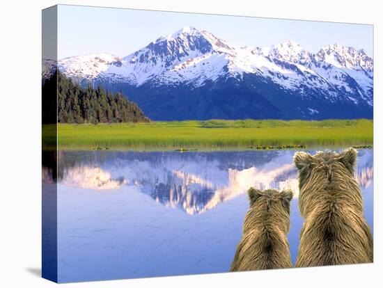 Alaska Brown Bears, Alaska.-Stuart Westmorland-Premier Image Canvas