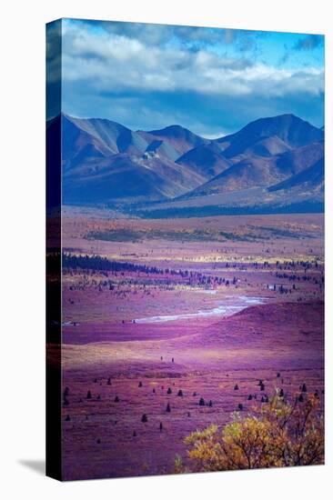 Alaska, Denali National Park. Autumn landscape of valley and mountains.-Janet Muir-Premier Image Canvas