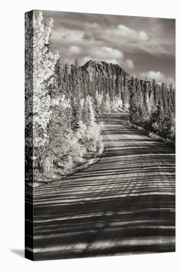 Alaska, Denali National Park. Road winding through Denali.-Janet Muir-Premier Image Canvas