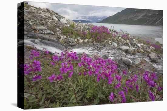 Alaska, Glacier Bay National Park. Small Stream Cascade-Jaynes Gallery-Premier Image Canvas