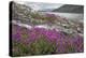 Alaska, Glacier Bay National Park. Small Stream Cascade-Jaynes Gallery-Premier Image Canvas