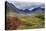 Alaska, Hatchers Pass Lodge-Savanah Stewart-Premier Image Canvas