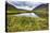 Alaska, Hatchers Pass-Savanah Stewart-Premier Image Canvas