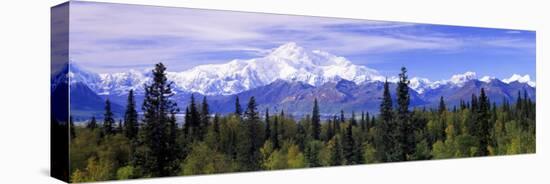 Alaska Range, Denali National Park, Alaska, USA-null-Premier Image Canvas