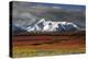 Alaska Range in Autumn, Taiga, Denali National Park, Alaska, USA-Michel Hersen-Premier Image Canvas