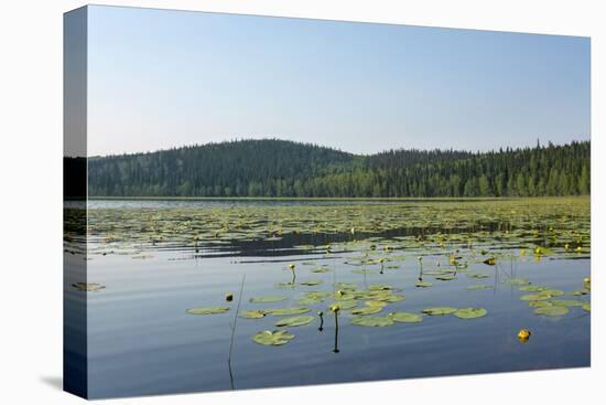 Alaska's Lost Lake-cec72-Premier Image Canvas