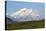 Alaska, Usa, Denali National Park. the 6-William Gray-Premier Image Canvas